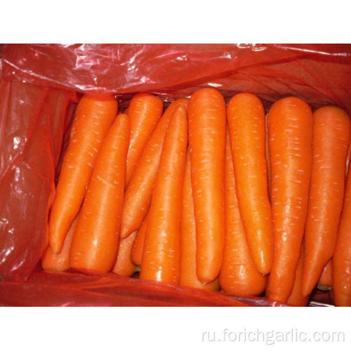 Разные размеры Разные веса Свежая морковь